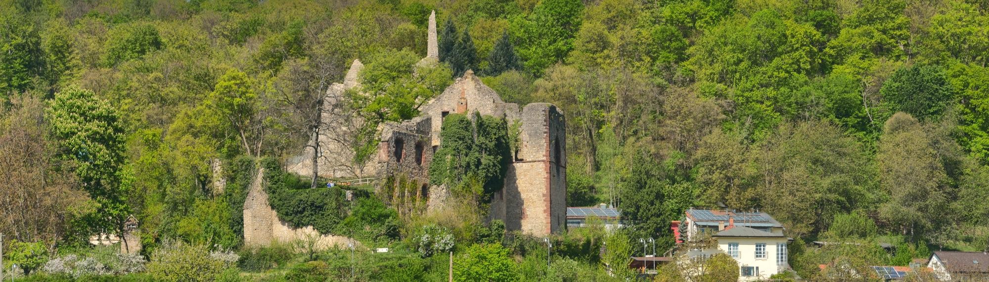 Burg Landeck Burg Landeck