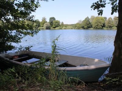 Foto des Teninger Freizeitsee's